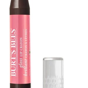 Comprar burt's bees 100% natural moisturizing gloss lip crayon pink lagoon -- 0. 1 oz preço no brasil beauty & personal care lip gloss lips makeup suplementos em oferta suplemento importado loja 19 online promoção -