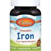 Comprar carlson kid's chewable iron natural strawberry -- 15 mg - 60 tablets preço no brasil chamomile herbs & botanicals sleep support suplementos em oferta suplemento importado loja 3 online promoção -
