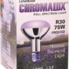 Comprar chromalux full spectrum lamp 75 watt flood lamp -- 1 bulb preço no brasil fiber gastrointestinal & digestion psyllium husks suplementos em oferta vitamins & supplements suplemento importado loja 5 online promoção -