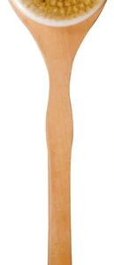 Comprar cleanlogic wooden handle bristle bath brush -- 1 brush preço no brasil bath accessories beauty & personal care sponges suplementos em oferta tools & accessories suplemento importado loja 15 online promoção -