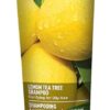 Comprar desert essence organics shampoo lemon tea tree -- 8 fl oz preço no brasil body systems, organs & glands pancreas health suplementos em oferta vitamins & supplements suplemento importado loja 5 online promoção -