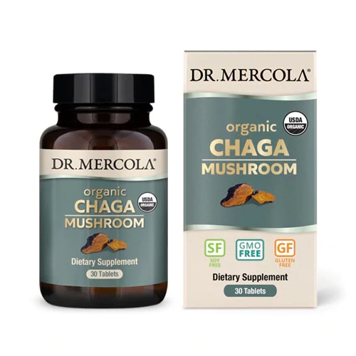 Dr. Mercola Organic Chaga Mushroom -- 30 Tablets