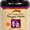 Comprar dragon herbs schizandra -- 500 mg - 100 capsules preço no brasil blood sugar support body systems, organs & glands herbs & botanicals schizandra fruit suplementos em oferta suplemento importado loja 1 online promoção -