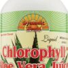 Comprar dynamic health liquid chlorophyll with aloe vera juice spearmint -- 16 fl oz preço no brasil chlorophyll herbs & botanicals superfoods suplementos em oferta suplemento importado loja 1 online promoção -