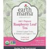 Comprar earth mama organics raspberry leaf tea -- 16 tea bags preço no brasil food & beverages soups suplementos em oferta tomato soup suplemento importado loja 5 online promoção -