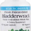 Comprar eclectic institute bladderwrack -- 600 mg - 90 vegetarian capsules preço no brasil bladder & urinary body systems, organs & glands herbs & botanicals suplementos em oferta suplemento importado loja 5 online promoção -