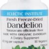 Comprar eclectic institute dandelion -- 400 mg - 90 vegetarian capsules preço no brasil dandelion detoxification herbs & botanicals suplementos em oferta suplemento importado loja 1 online promoção -