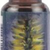 Comprar flower essence aloe vera herbal supplement -- 0. 25 fl oz preço no brasil bowel support gastrointestinal & digestion suplementos em oferta vitamins & supplements suplemento importado loja 3 online promoção -