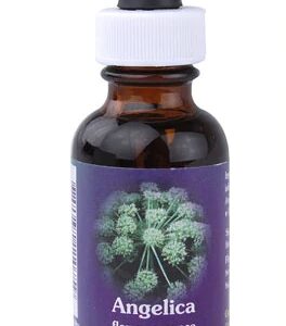 Florais de Angélica Essência Floral - Frasco 30ml: Equilíbrio Emocional e Proteção Energética
