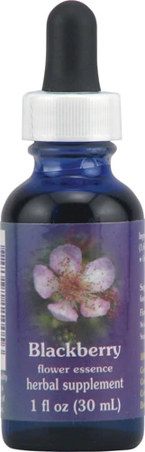 Essência Floral de Amora Importada - 30ml - Bem-Estar Natural