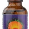 Comprar flower essence calendula dropper -- 1 fl oz preço no brasil flower essences homeopathic remedies suplementos em oferta vitamins & supplements suplemento importado loja 1 online promoção -