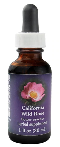 Flower Essence California Wild Rose Dropper -- 1 fl oz