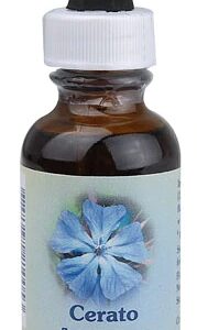 Essência Floral Cerato Gota - 30ml: Clareza Mental e Confiança