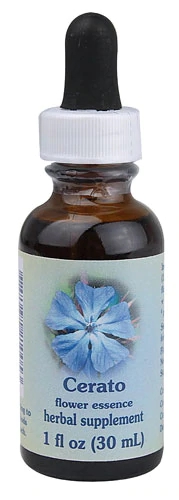 Essência Floral Cerato Gota - 30ml: Clareza Mental e Confiança