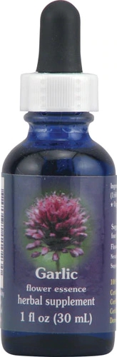 Extrato de Alho FES Quintessentials™ - Suplemento Herbal 30ml