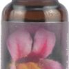 Comprar flower essence pink monkeyflower herbal supplement dropper -- 0. 25 fl oz preço no brasil flower essences homeopathic remedies suplementos em oferta vitamins & supplements suplemento importado loja 1 online promoção -