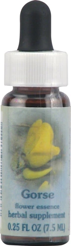 Florais de Bach Gorse 7.5ml – Essência Floral para Otimismo e Esperança
