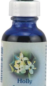 Floral de Bach Flower Essence Healing Herbs Holly 30ml - Amor Próprio e Compaixão