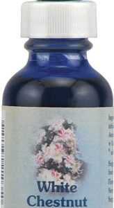Floral White Chestnut Flower Essence Healing Herbs 30ml - Alívio para Mente Agitada