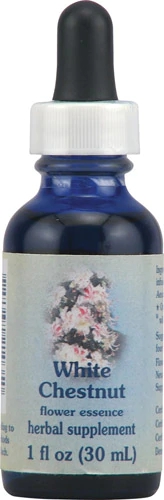 Floral White Chestnut Flower Essence Healing Herbs 30ml - Alívio para Mente Agitada