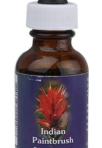 Essência Floral Indian Paintbrush - 30ml: Equilíbrio Emocional e Vitalidade Renovada