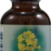 Comprar flower essence mustard flower essence -- 1 fl oz preço no brasil echinacea herbs & botanicals suplementos em oferta suplemento importado loja 3 online promoção -