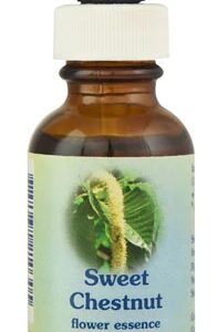 Floral de Bach Sweet Chestnut (Castanha Doce) - 30ml