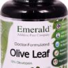Comprar fruitients olive leaf -- 60 vegetable capsules preço no brasil herbs & botanicals immune support olive leaf extract suplementos em oferta suplemento importado loja 1 online promoção -