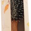Comprar fuchs ambassador hair brush 5570 oval oak handle -- 1 brush preço no brasil beauty & personal care brushes & combs hair accessories suplementos em oferta tools & accessories suplemento importado loja 1 online promoção -
