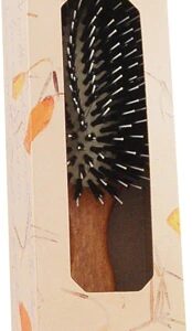 Comprar fuchs ambassador hair brush 5570 oval oak handle -- 1 brush preço no brasil beauty & personal care brushes & combs hair accessories suplementos em oferta tools & accessories suplemento importado loja 13 online promoção -