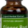 Comprar gaia herbs organic ginger root -- 500 mg - 1 fl oz preço no brasil black cumin seed herbs & botanicals specialty formulas suplementos em oferta suplemento importado loja 5 online promoção -