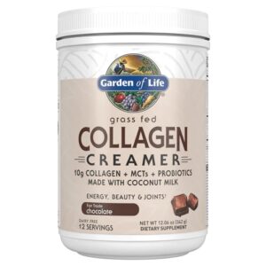 Garden of Life Collagen Creamer Chocolate - Colágeno e MCT 329g