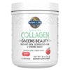 Comprar garden of life collagen greens beauty apple -- 9. 38 oz preço no brasil appetite control diet products suplementos em oferta suplemento importado loja 5 online promoção -