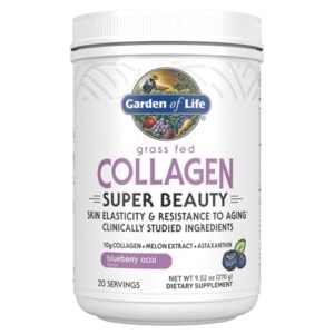 Garden of Life Collagen Super Beauty Blueberry Acai -- 9.52 oz