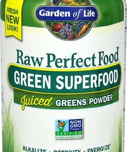 Garden of Life Raw Perfect Food Green Superfood -- 240 Vegan Capsules