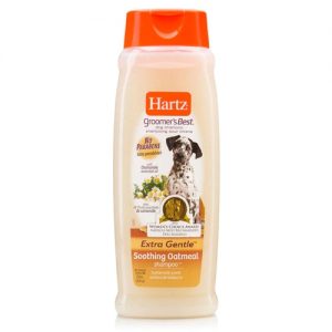 Comprar hartz groomer's best dog shampoo - buttermilk -- 18 fl oz preço no brasil dog grooming pet health shampoo suplementos em oferta suplemento importado loja 39 online promoção - 7 de julho de 2022