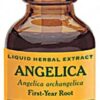 Comprar herb pharm angelica liquid herbal extract -- 1 fl oz preço no brasil angelica digestive health herbs & botanicals suplementos em oferta suplemento importado loja 1 online promoção -