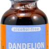 Comprar herb pharm dandelion alcohol free -- 1 fl oz preço no brasil bee products própolis suplementos em oferta vitamins & supplements suplemento importado loja 5 online promoção -