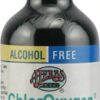 Comprar herbs etc. Chloroxygen® alcohol free mint -- 2 fl oz preço no brasil chlorophyll herbs & botanicals superfoods suplementos em oferta suplemento importado loja 1 online promoção -