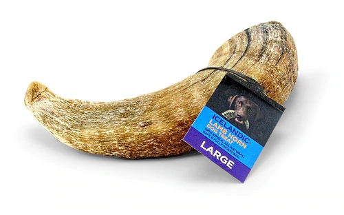Icelandic Plus Large Lamb Horn Dog Treat -- 4 oz