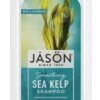 Comprar jason smoothing sea kelp shampoo -- 16 fl oz preço no brasil beauty & personal care care for men men's hair shampoo suplementos em oferta suplemento importado loja 5 online promoção -