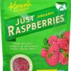 Comprar karen's naturals organic just raspberries® -- 1. 5 oz preço no brasil broth, bouillon & stock chicken broth food & beverages soups suplementos em oferta suplemento importado loja 5 online promoção -