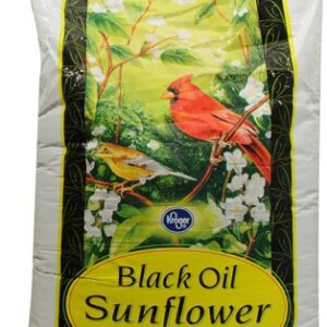 Comprar kroger® black oil sunflower seed for bird feeding -- 40 lbs preço no brasil bird bird food pet health suplementos em oferta suplemento importado loja 17 online promoção -