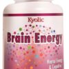 Comprar kyolic brain energy -- 60 capsules preço no brasil allergy support cold & allergy seasonal support suplementos em oferta vitamins & supplements suplemento importado loja 5 online promoção -
