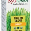 Comprar kyolic kyo-green® energy powdered drink mix -- 5. 3 oz preço no brasil beverages black tea food & beverages suplementos em oferta tea suplemento importado loja 3 online promoção -