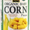 Comprar native forest organic baby corn pieces -- 14 oz preço no brasil canned & jarred vegetables corn food & beverages suplementos em oferta vegetables suplemento importado loja 1 online promoção -