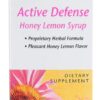 Comprar natural factors echinamide® active defense syrup honey lemon -- 5 fl oz preço no brasil echinacea herbs & botanicals suplementos em oferta suplemento importado loja 1 online promoção -
