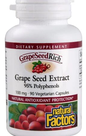 Comprar natural factors grapeseedrich™ grape seed extract -- 100 mg - 90 vegetarian capsules preço no brasil antioxidants grape seed extract herbs & botanicals suplementos em oferta suplemento importado loja 63 online promoção -