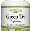 Comprar natural factors green tea phytosome™ -- 50 mg - 60 capsules preço no brasil food & beverages stévia suplementos em oferta sweeteners & sugar substitutes suplemento importado loja 3 online promoção -