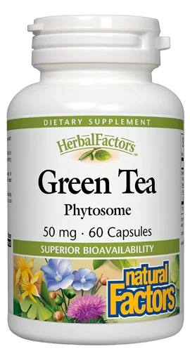 Natural Factors Green Tea Phytosome 50mg - 60 Cápsulas - Extrato de Chá Verde Potente